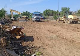 Tierra donde antes había huertas ilegales y este jueves continuaban trabajando las máquinas.