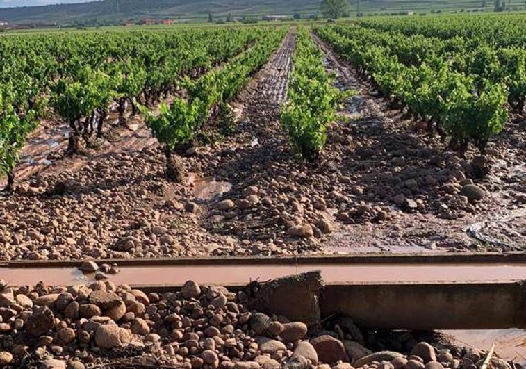 Daños en accesos a fincas y tuberías en la comarca de Nájera.