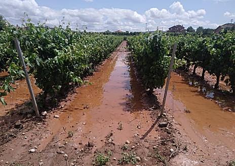Imagen secundaria 1 - Uruñuela sufre la crecida de dos ríos