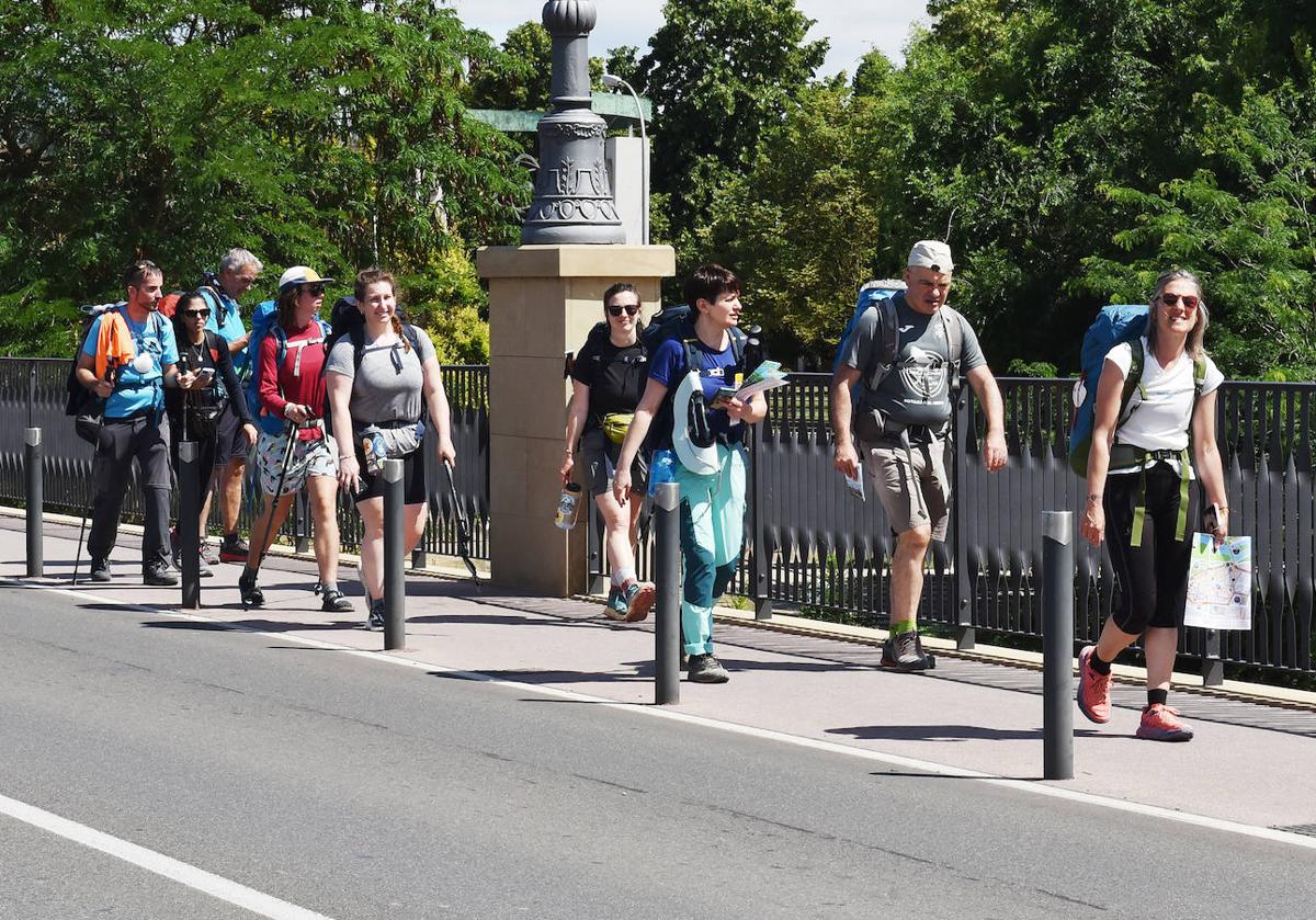 Casi medio millón de peregrinos llegaron a Santiago el pasado año, la mayoría de ellos recorriendo el Camino Francés, que pasa por Logroño.