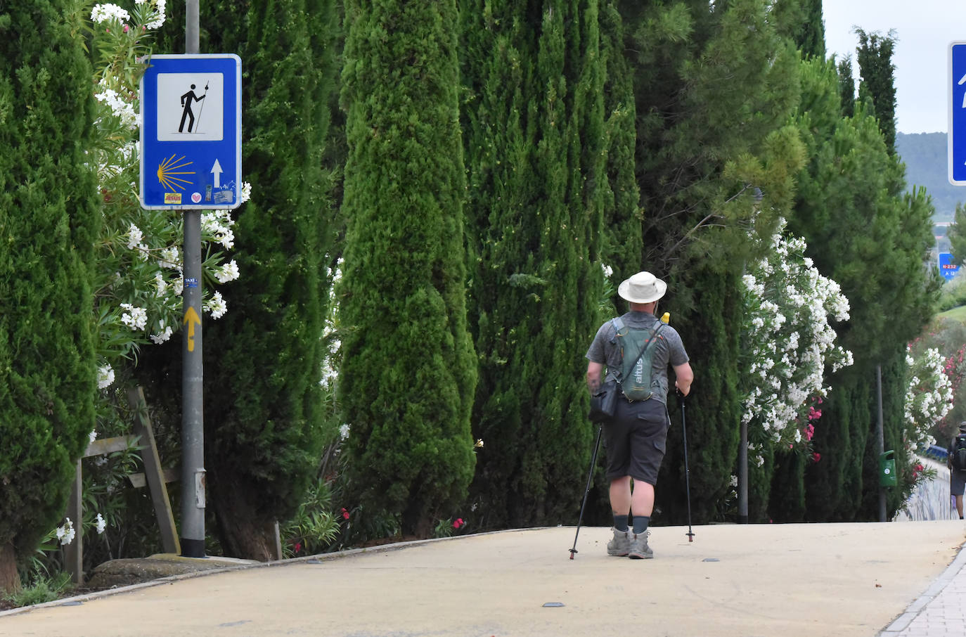 Peregrinos, a su paso por La Rioja