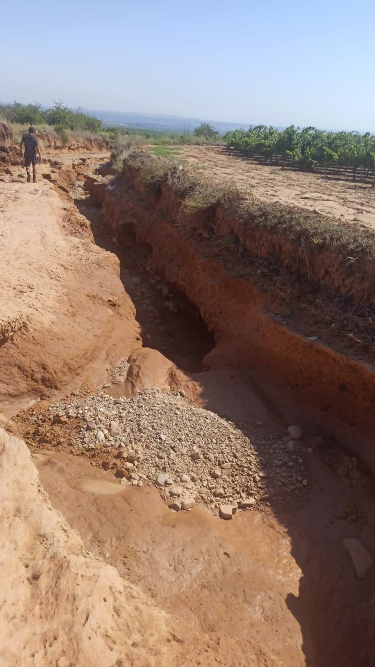 Camino destruido en Alfaro a las faldas del Yerga.