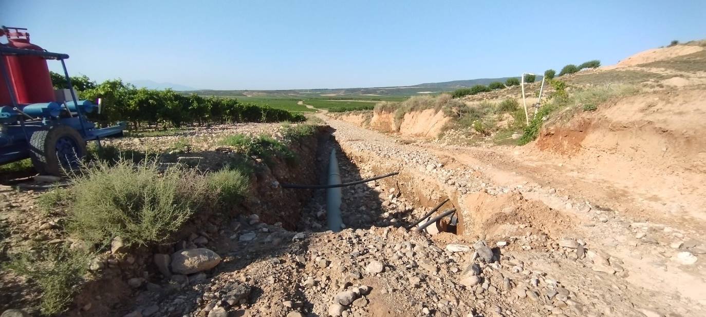 Estado en el que ha quedado un camino de acceso a viñedos en Aldeanueva