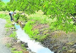 Un hombre abre una compuerta en una acequia de riego de Nalda.