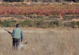 Un cazador y su perro, durante una jornada de caza en La Rioja.
