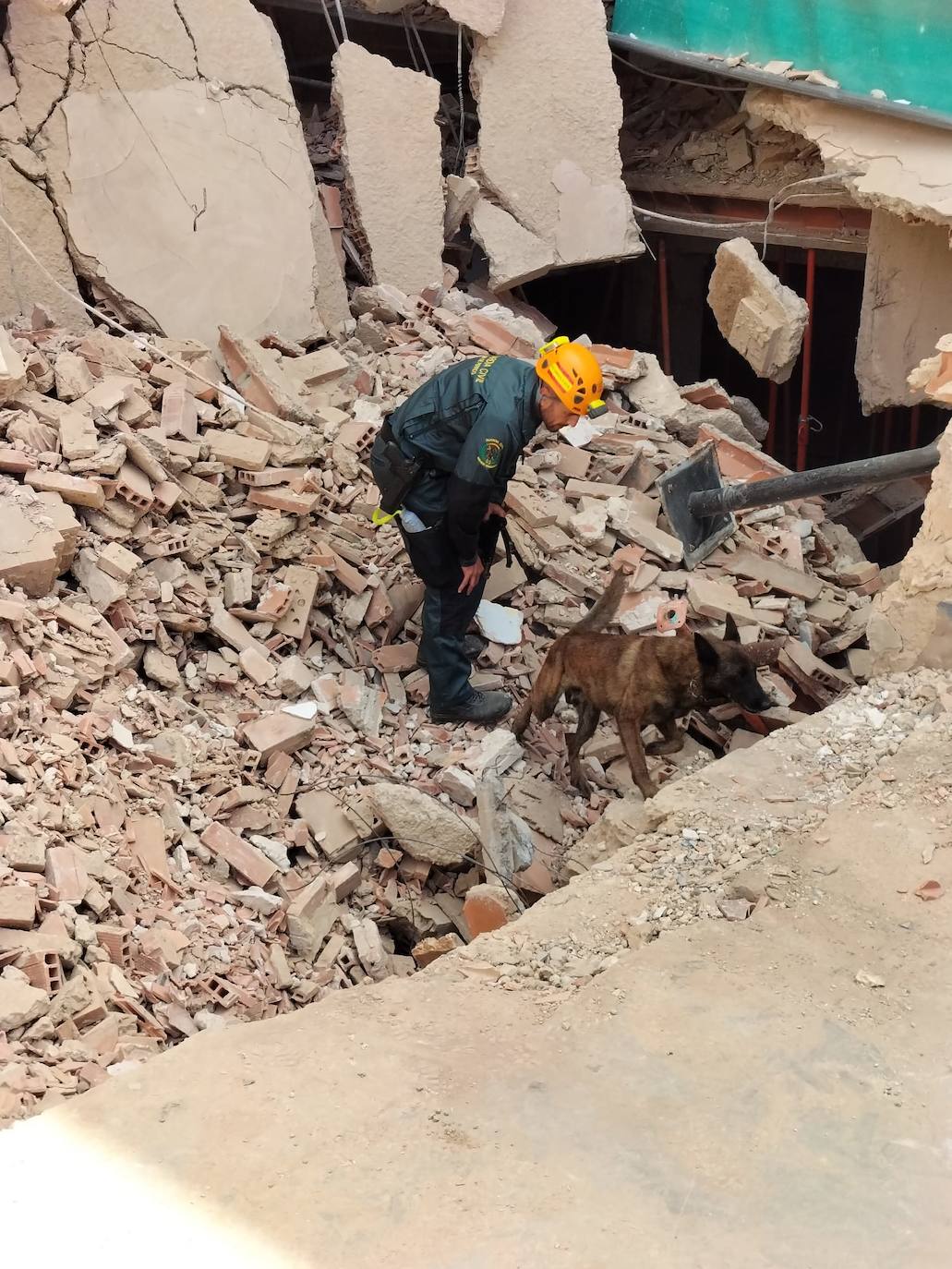 La unidad canina de la Guardia Civil ha participado en la búsqueda del obrero desaparecido.