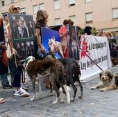 Unos 150 animalistas protestan contra la derogación de la Ley de Protección Animal