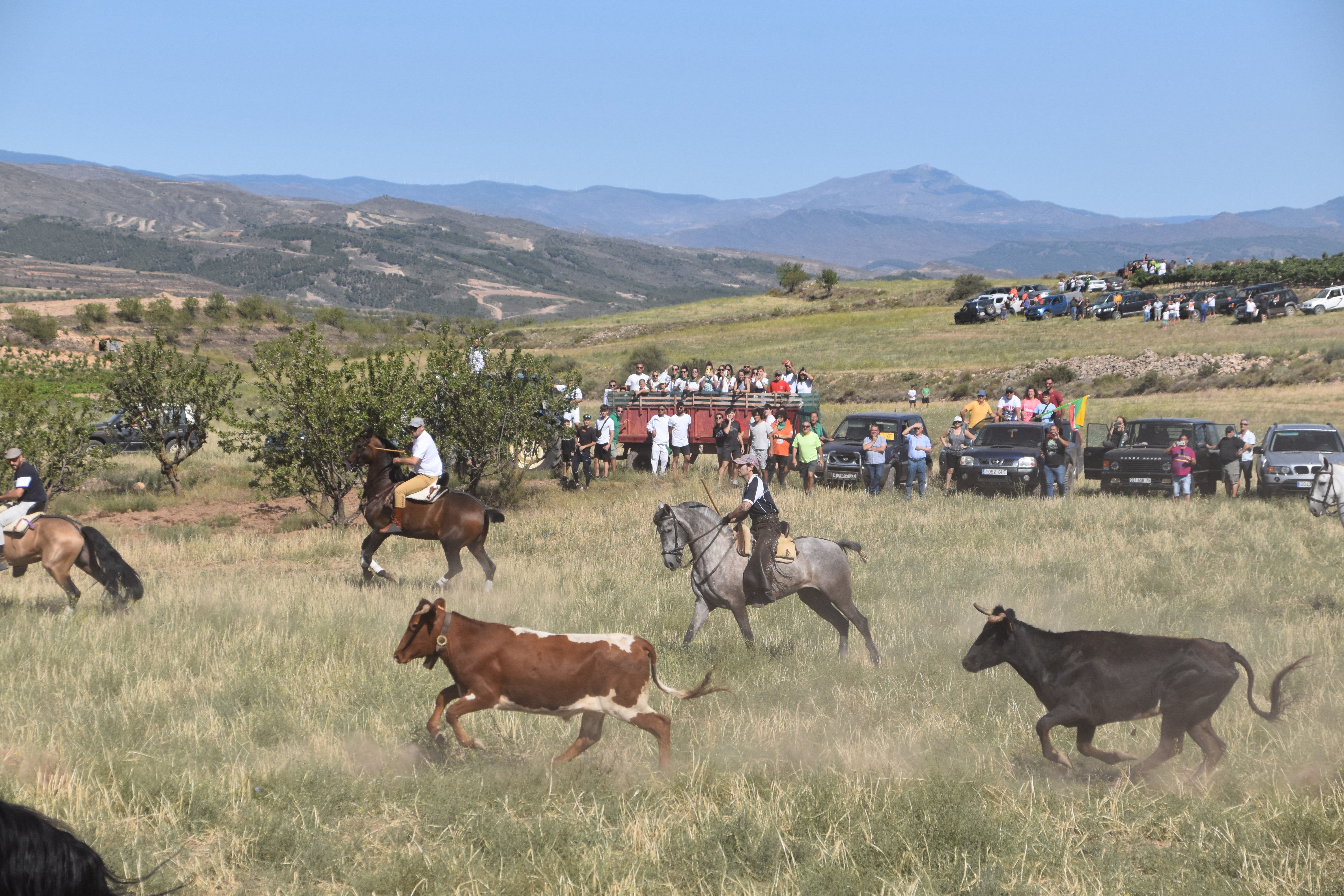 Evento taurino en Valverde