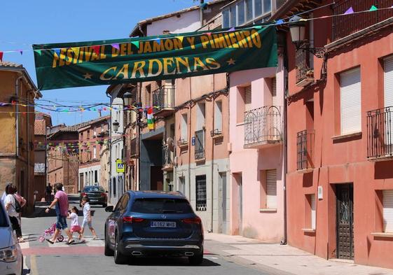 30 años de festival en Cárdenas