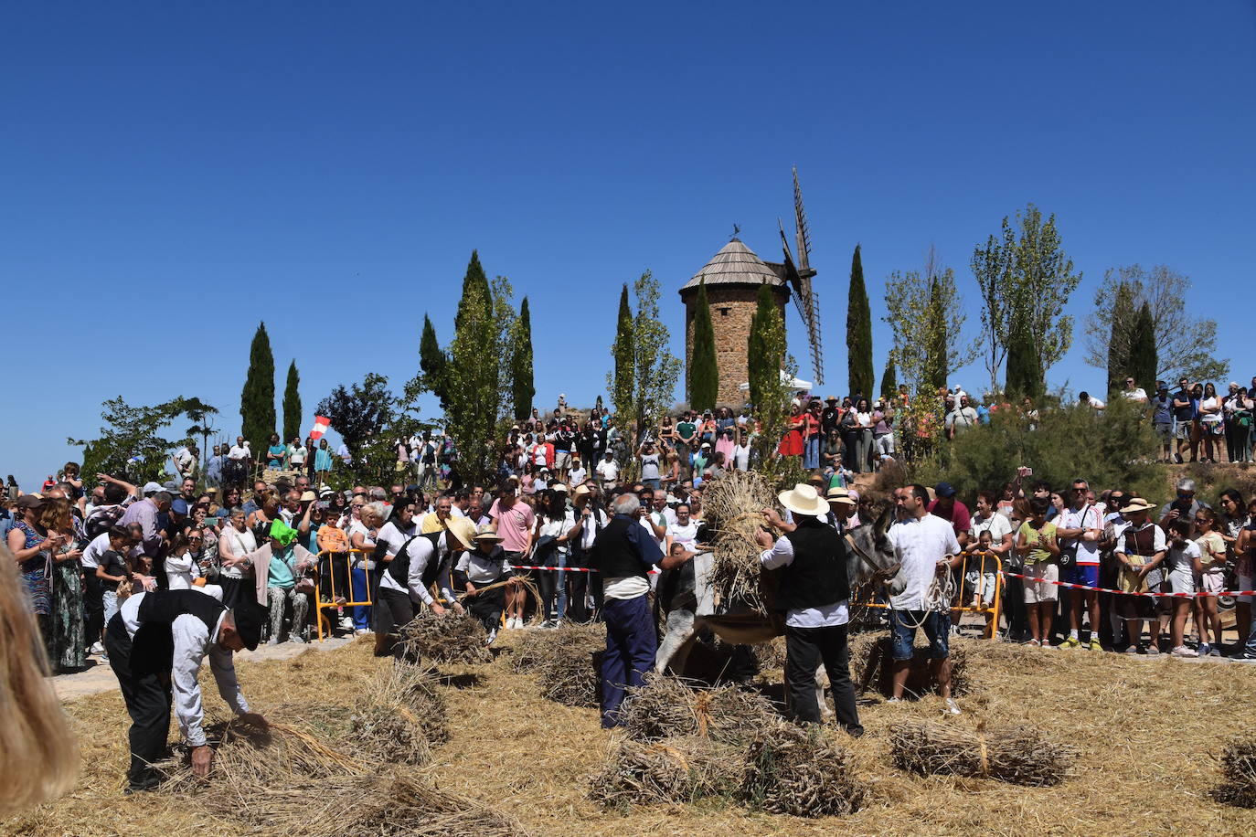 Fiesta de la molienda en Ocón