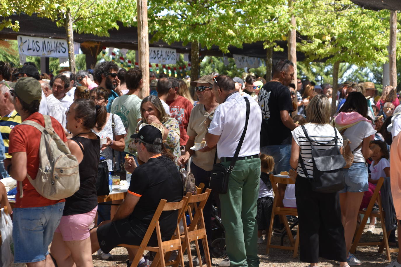 Fiesta de la molienda en Ocón