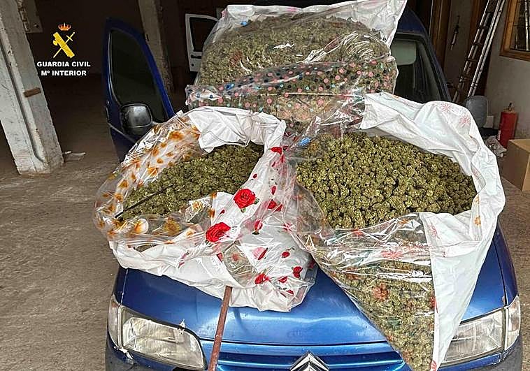 Dos detenidos por cultivo de marihuana y otros tres por intentar robarles la cosecha de forma violenta