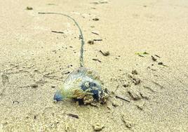 Una de las carabelas portuguesas llegadas a la playa de La Concha.