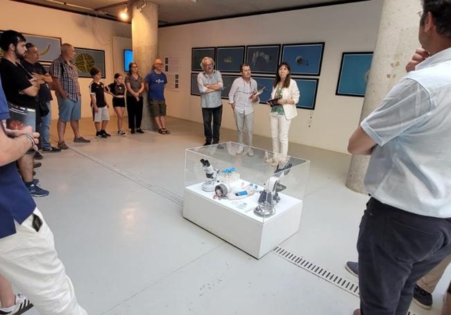 La directora del Botánico, María Paz Martín, durante la inauguración de la muestra.