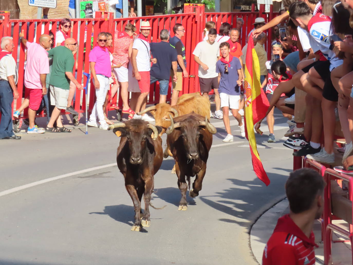 Día grande de las fiestas en Alfaro