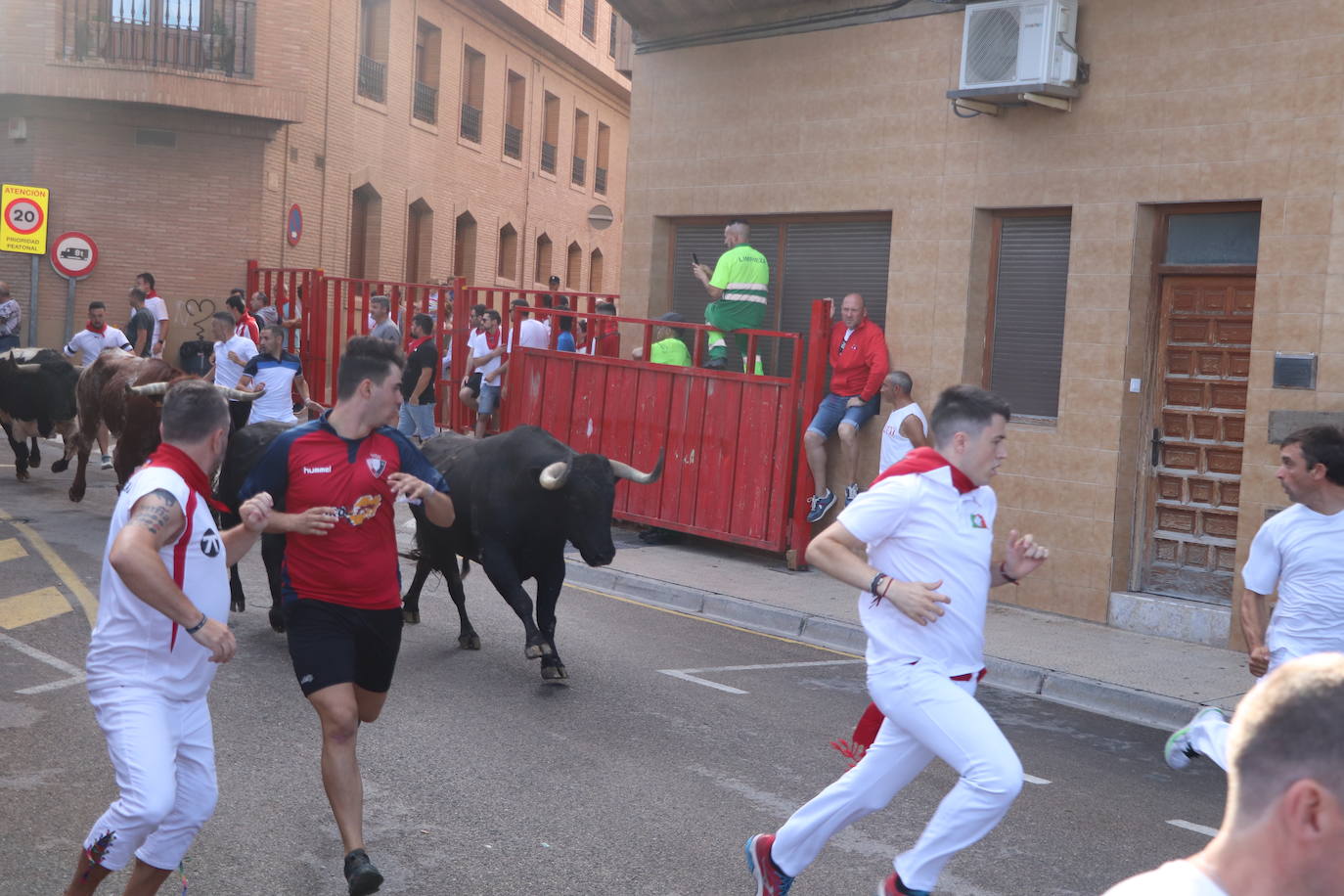 Los mayores protagonizan la fiesta en Alfaro