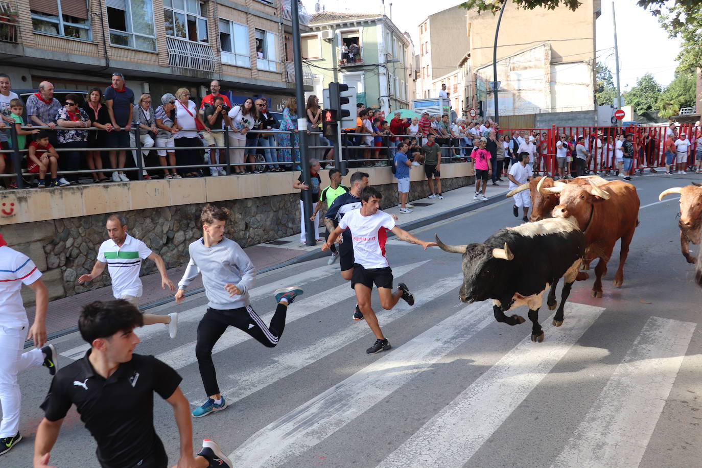 Los mayores protagonizan la fiesta en Alfaro