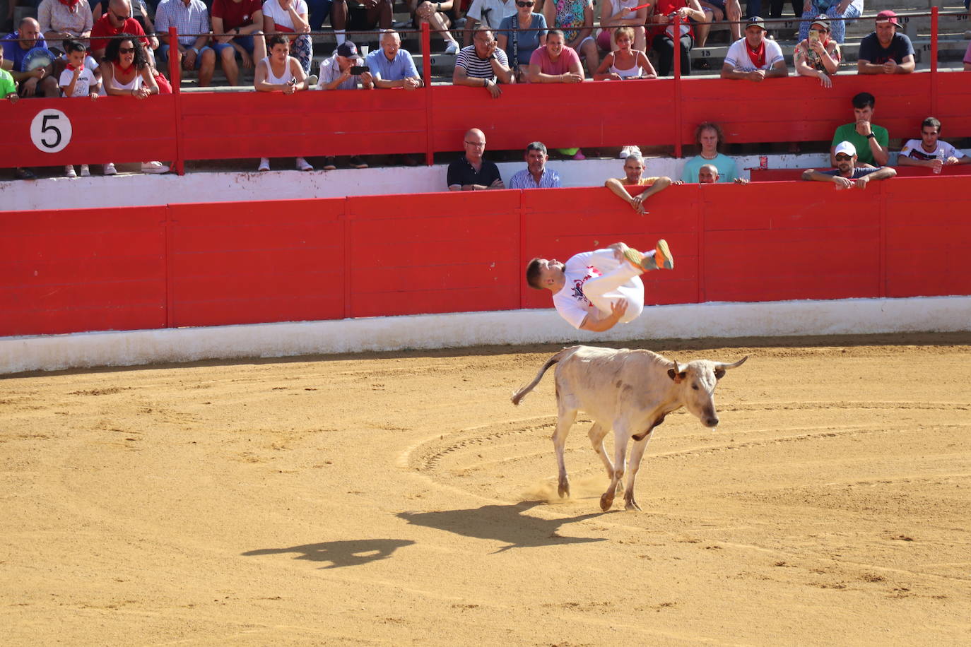 Los mayores protagonizan la fiesta en Alfaro