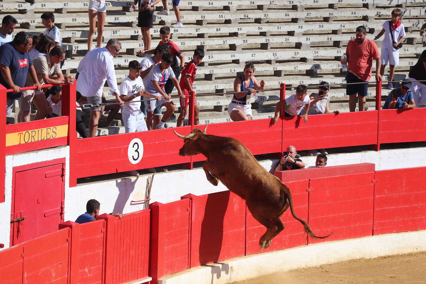 Penúltimo día de fiestas de Alfaro