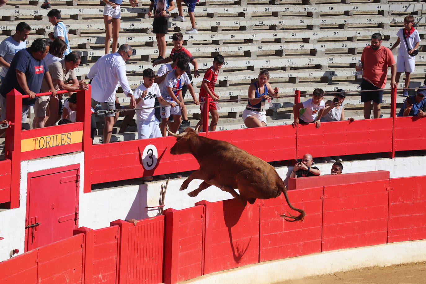 Penúltimo día de fiestas de Alfaro