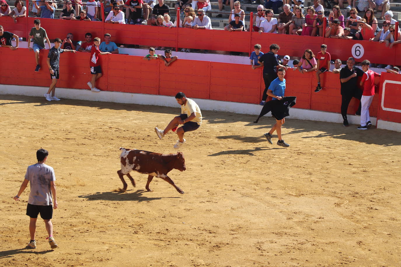 Penúltimo día de fiestas de Alfaro