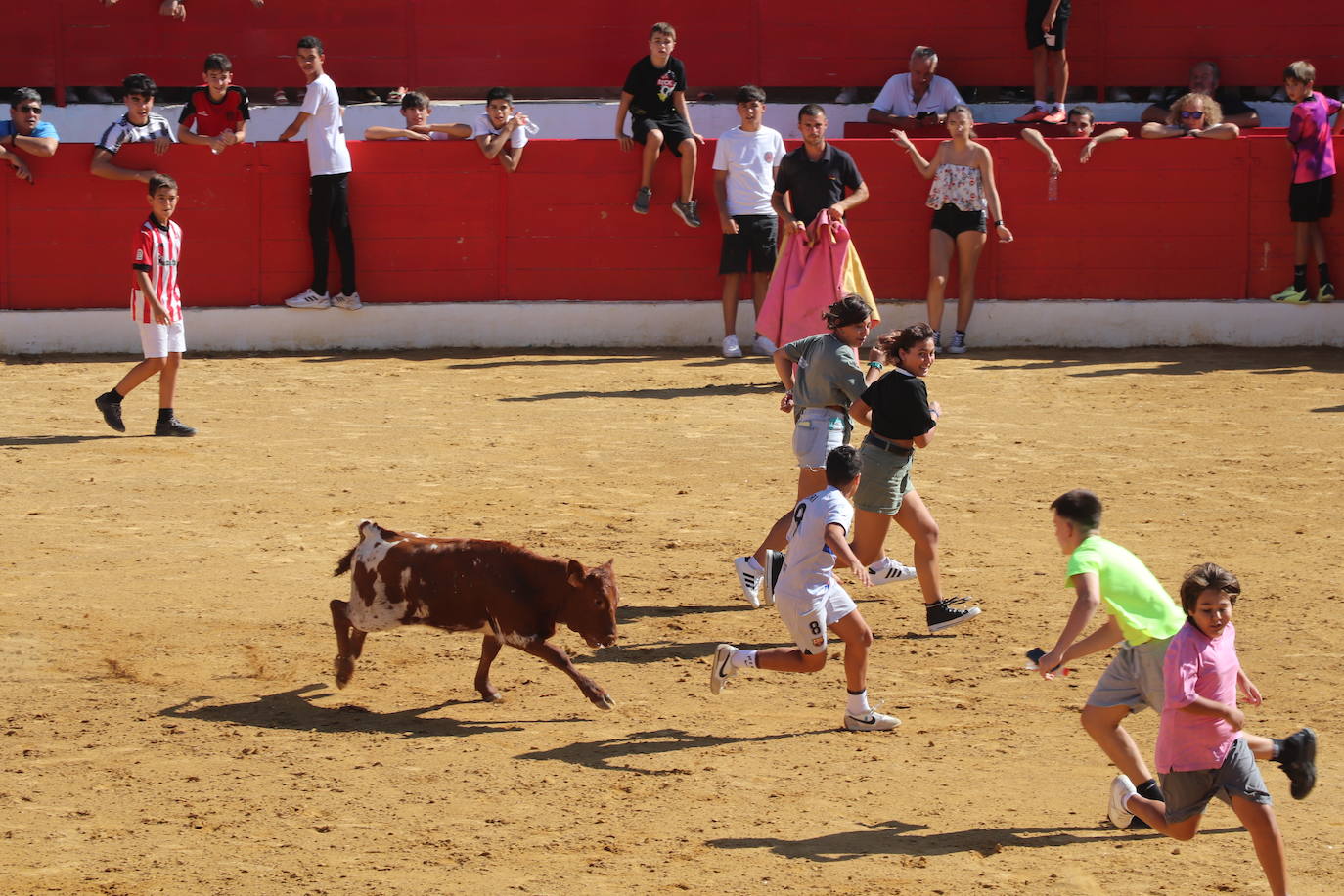 Penúltimo día de fiestas de Alfaro