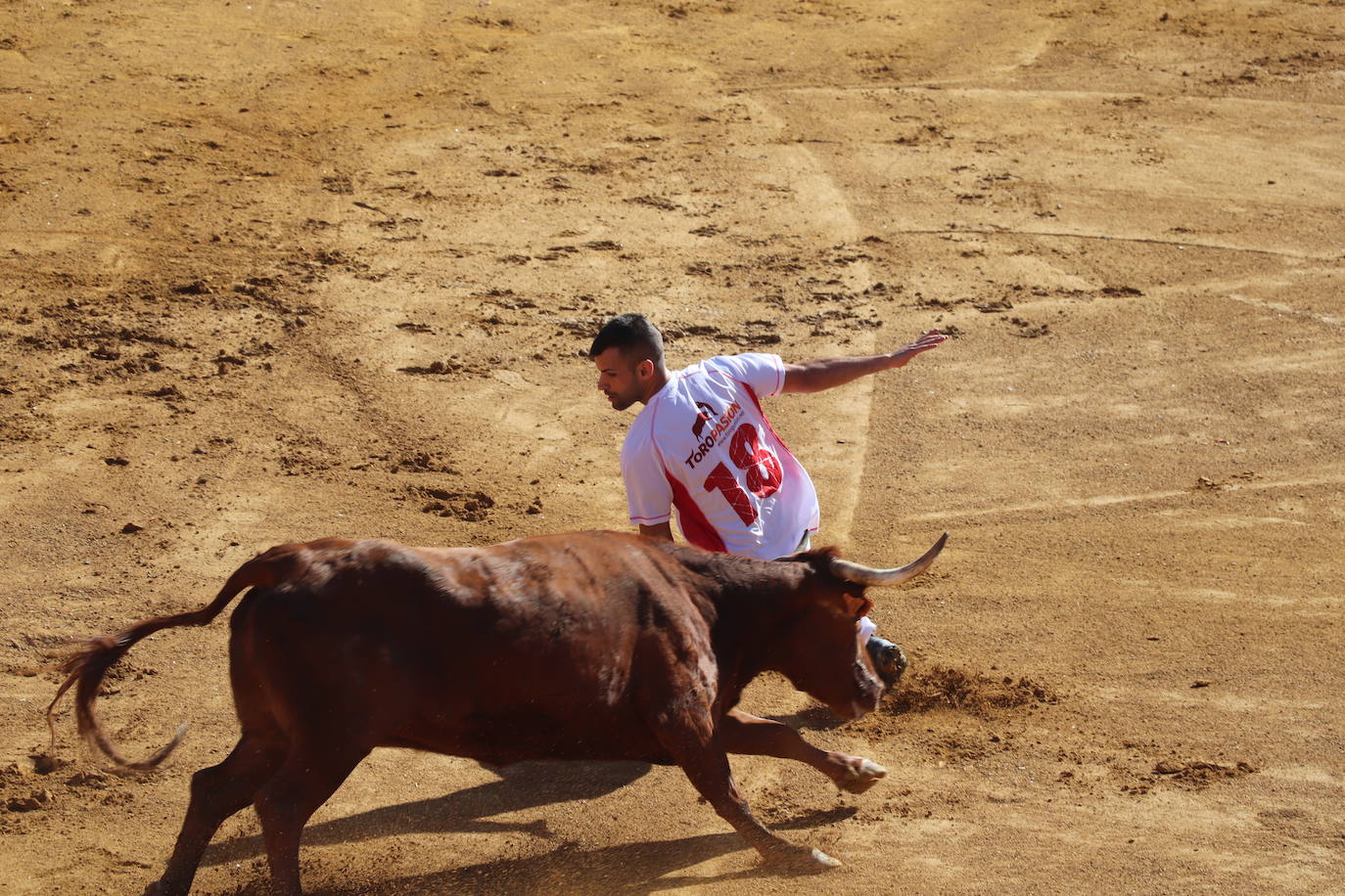 Penúltimo día de fiestas de Alfaro