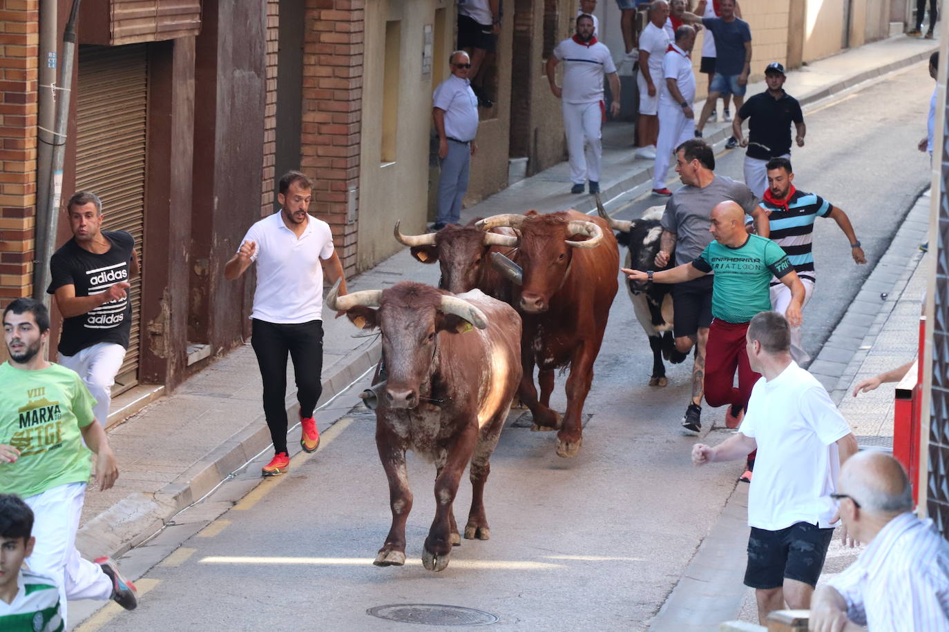 Penúltimo día de fiestas de Alfaro