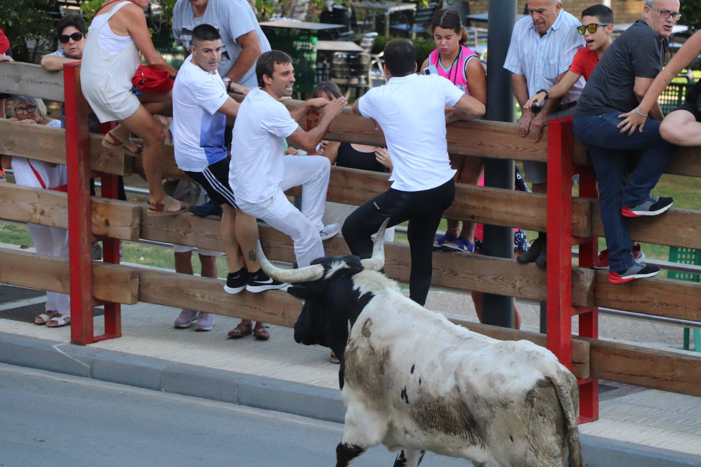 Penúltimo día de fiestas de Alfaro