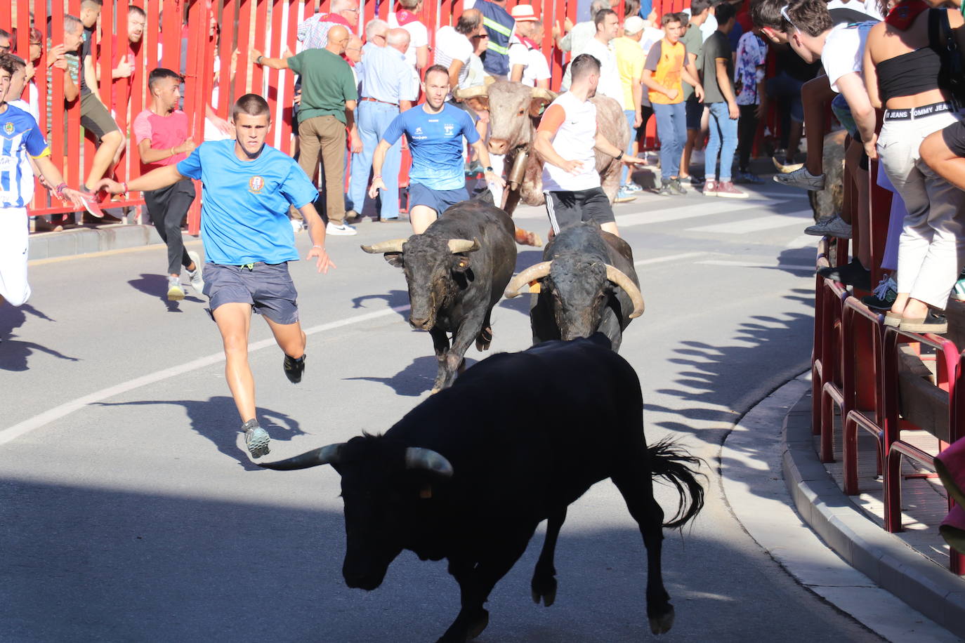 Penúltimo día de fiestas de Alfaro