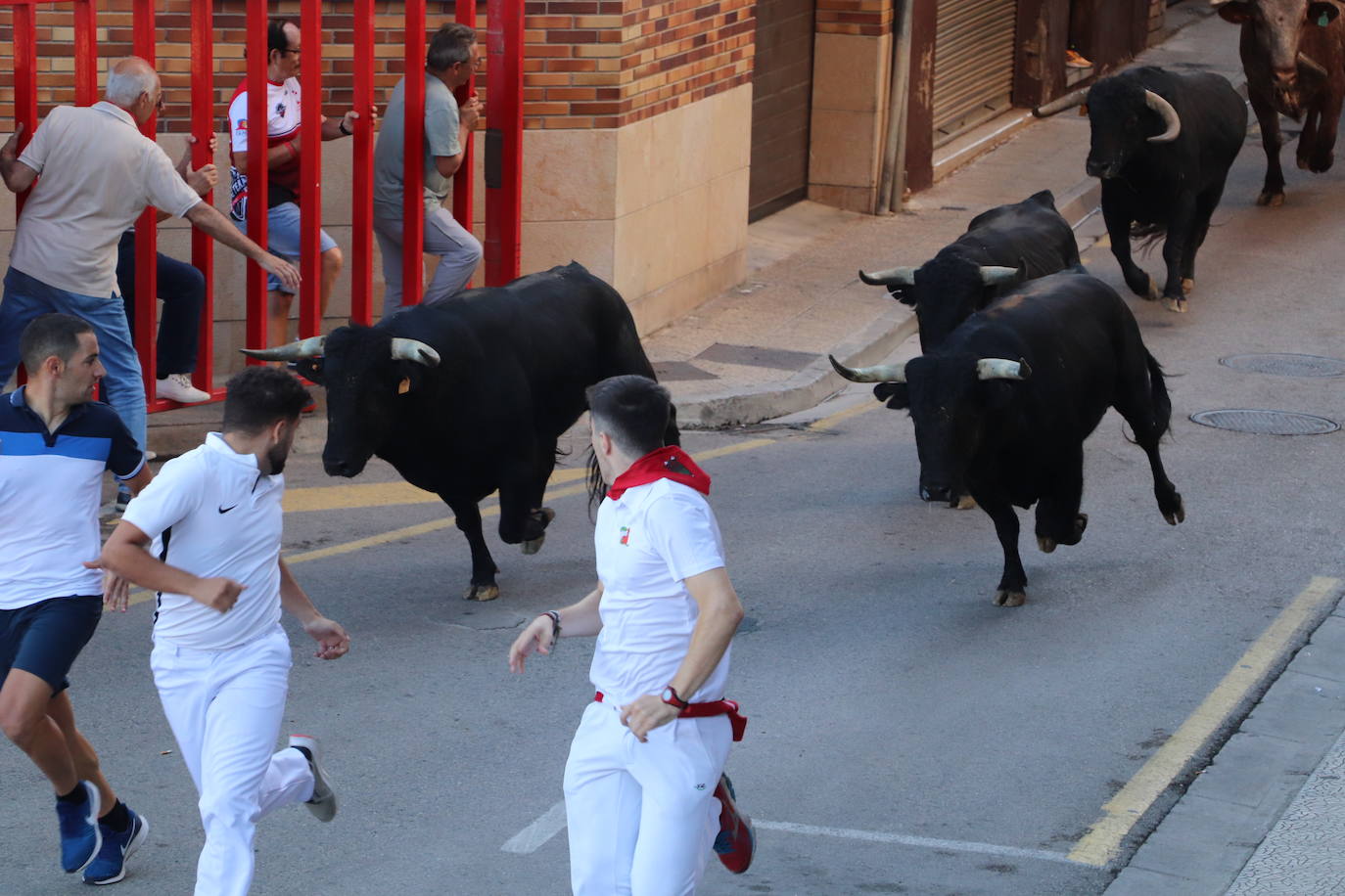 Penúltimo día de fiestas de Alfaro