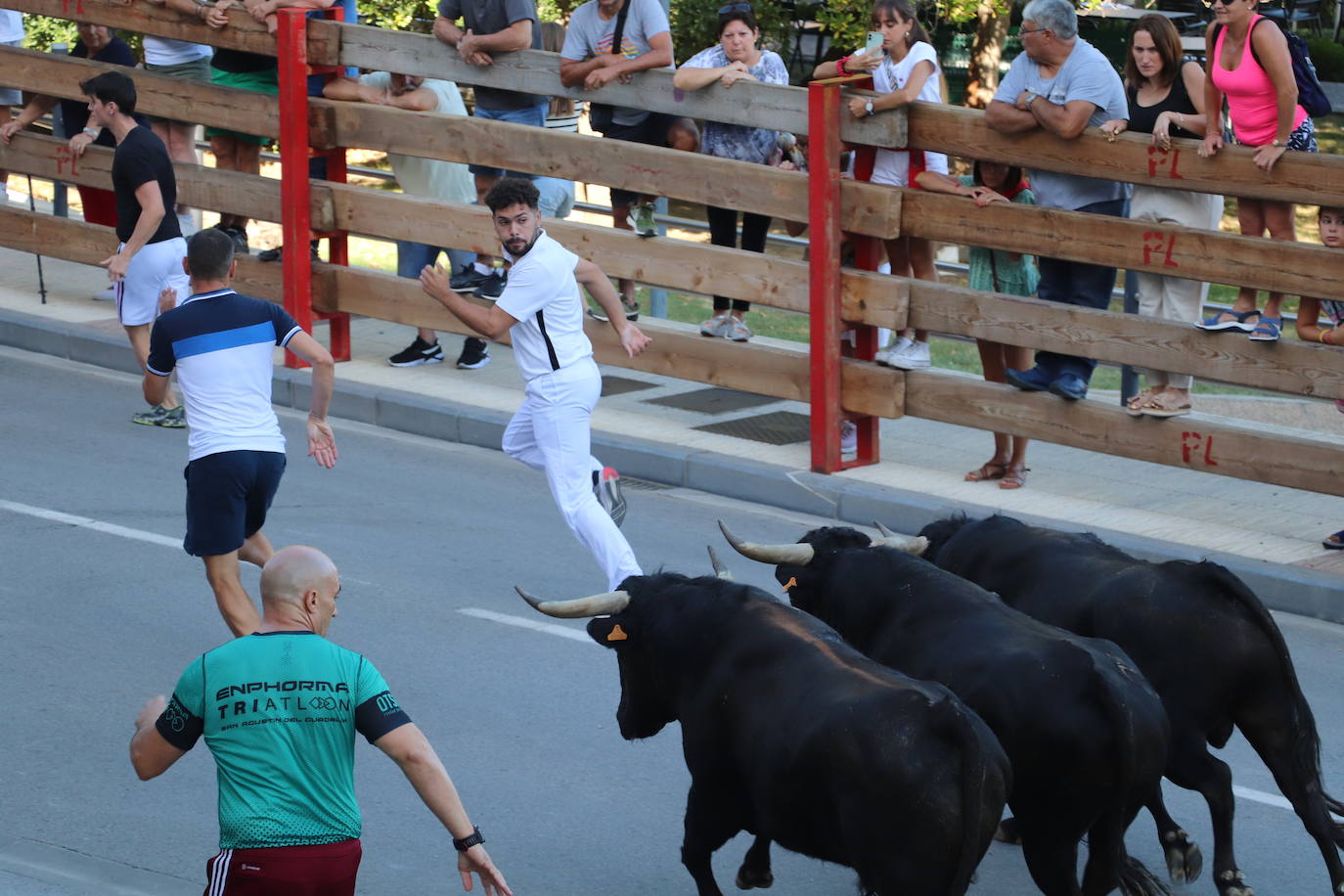 Penúltimo día de fiestas de Alfaro