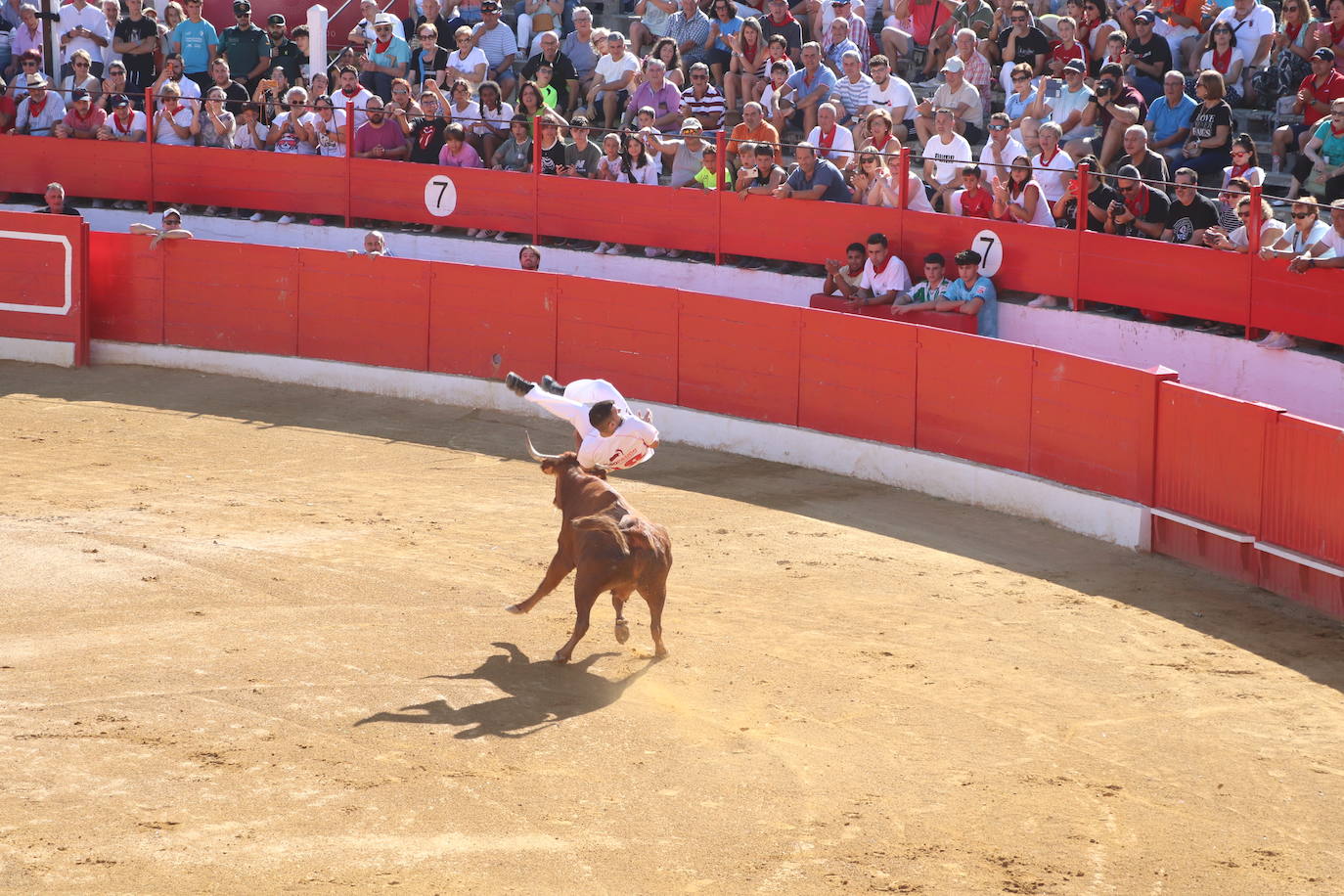 Penúltimo día de fiestas de Alfaro