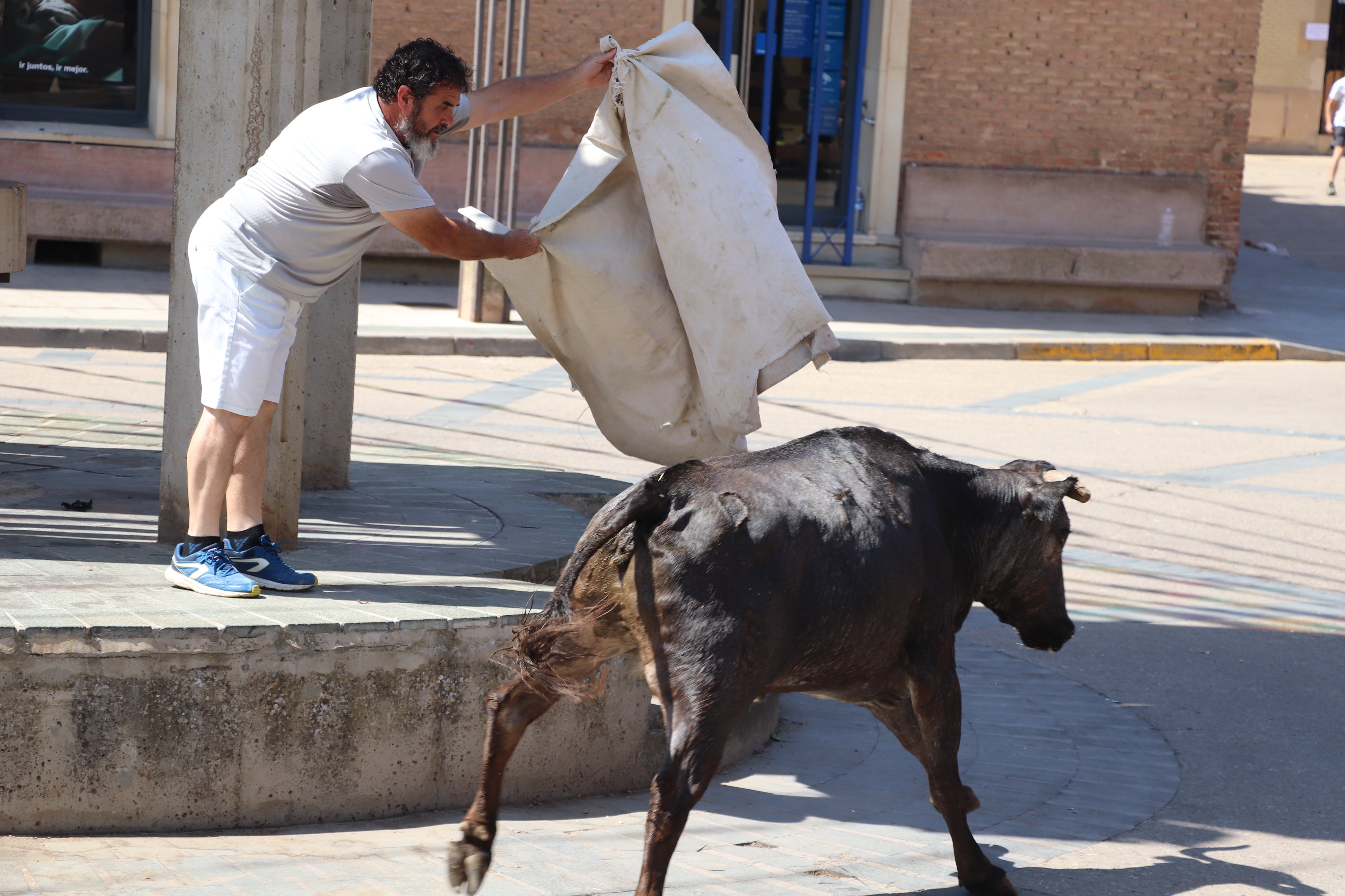 Aldeanueva de Ebro en fiestas