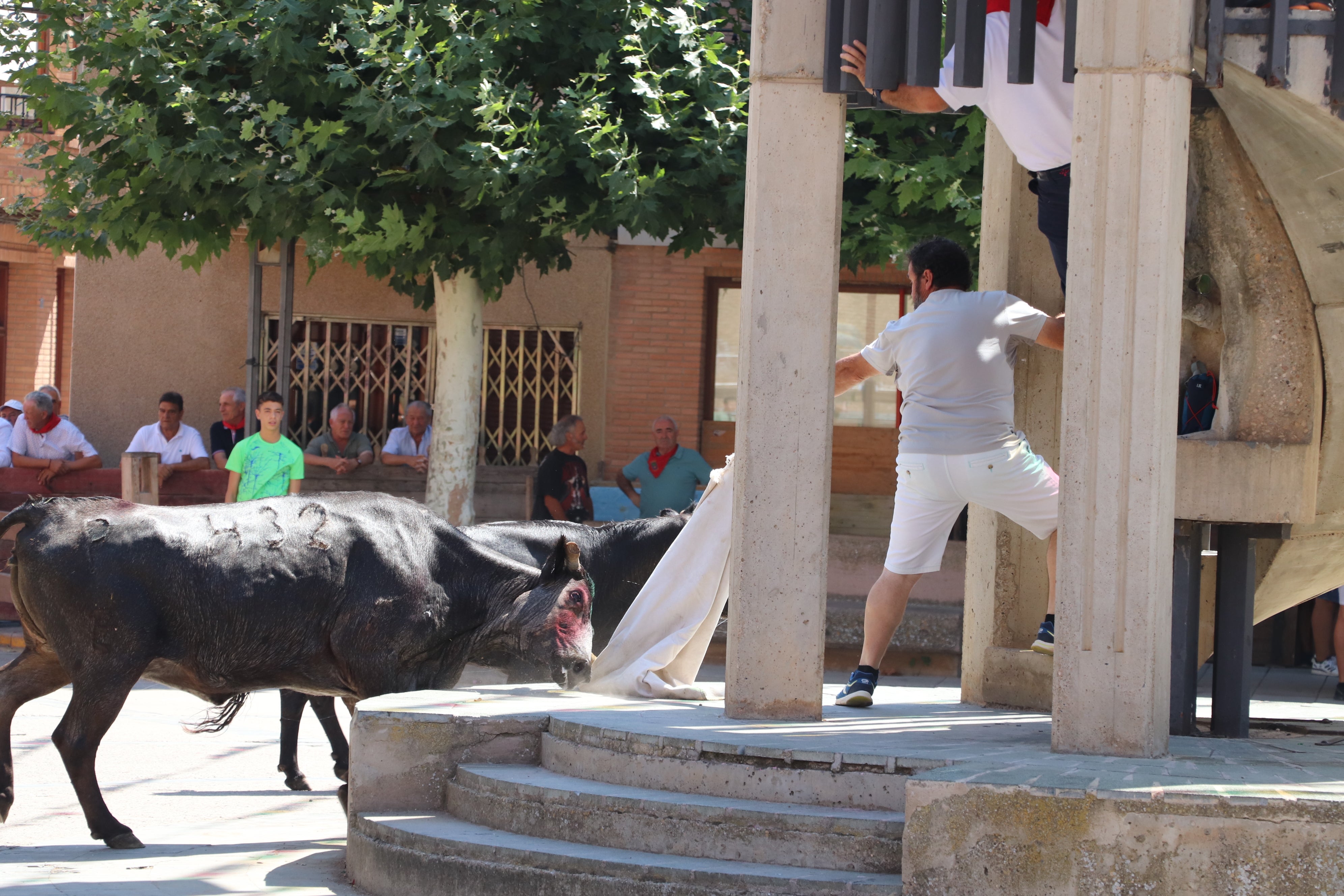 Aldeanueva de Ebro en fiestas