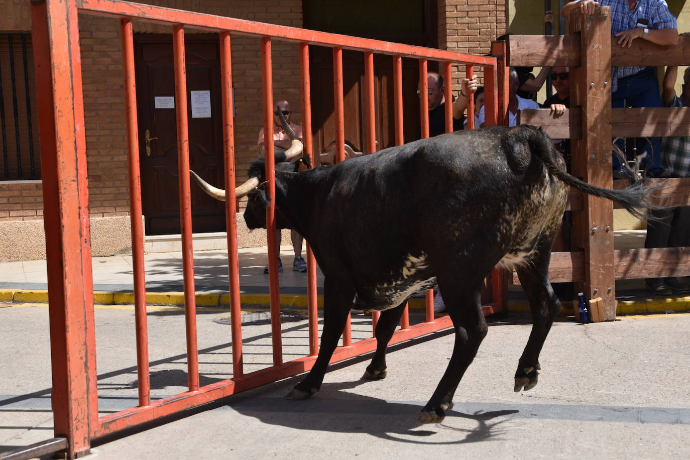 Encierros en las fiestas de Aldeanueva de Ebro