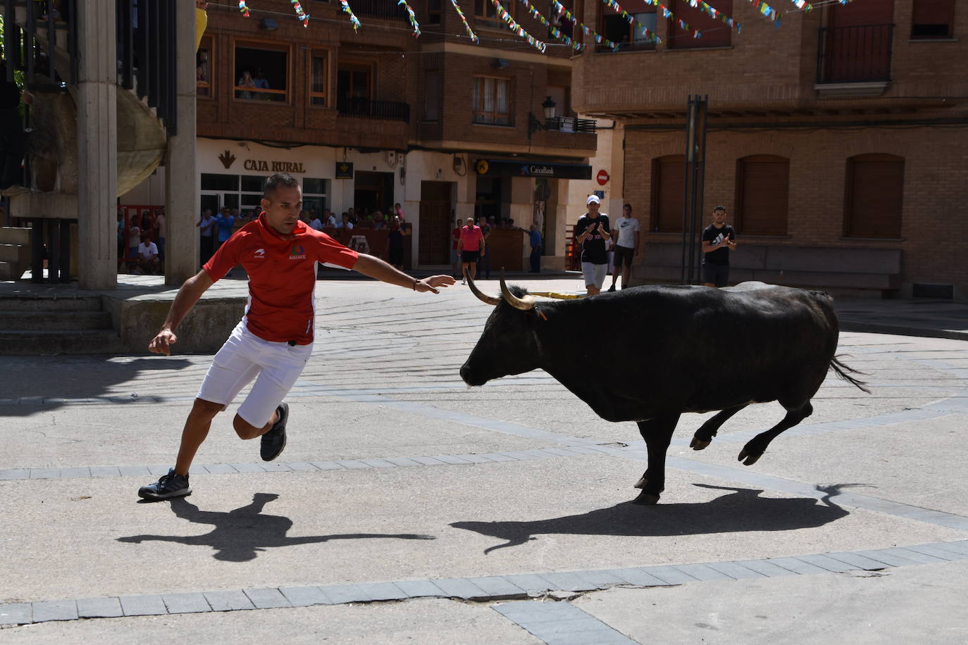 Encierros en las fiestas de Aldeanueva de Ebro