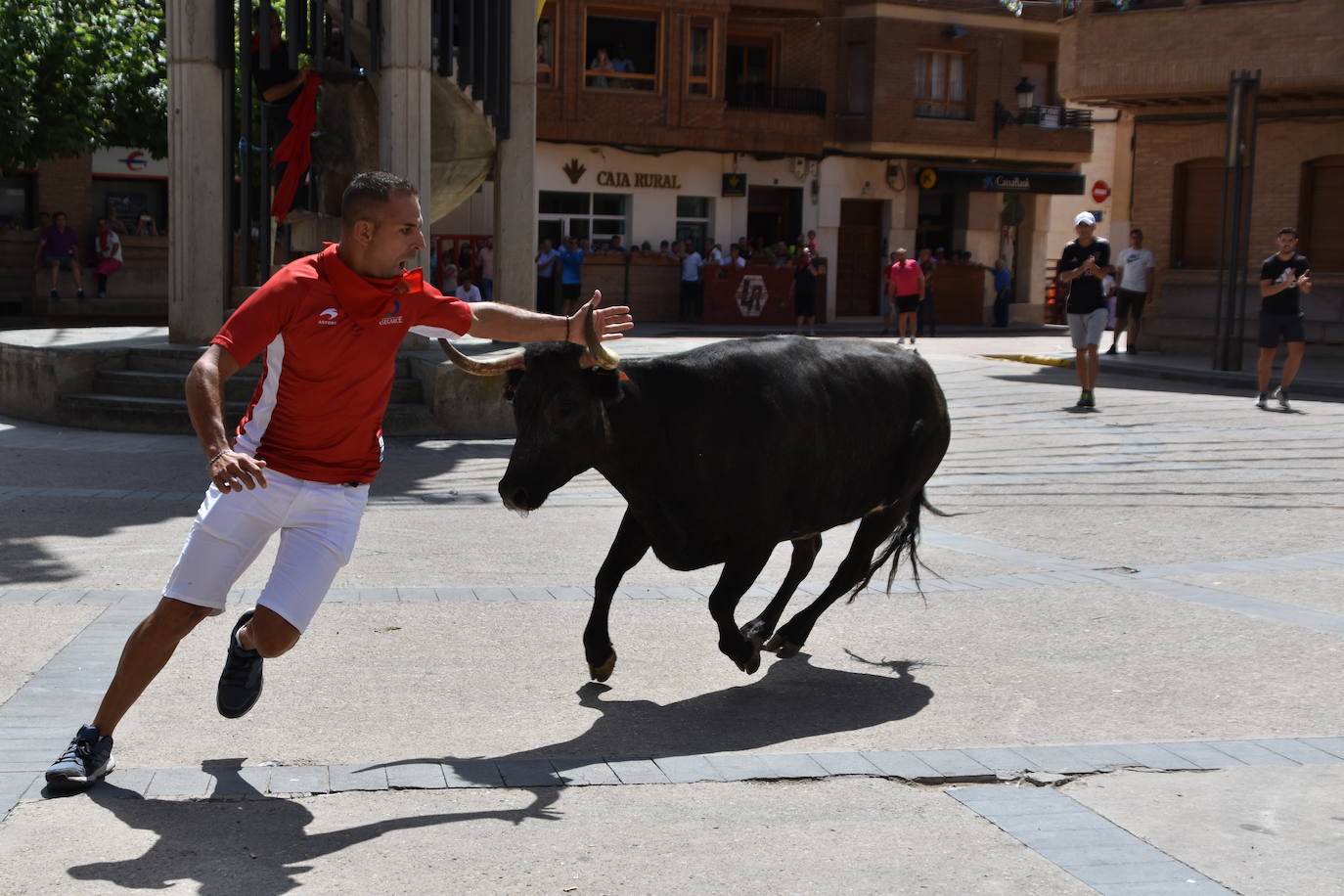 Encierros en las fiestas de Aldeanueva de Ebro