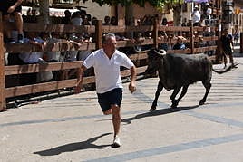 Encierros en las fiestas de Aldeanueva de Ebro