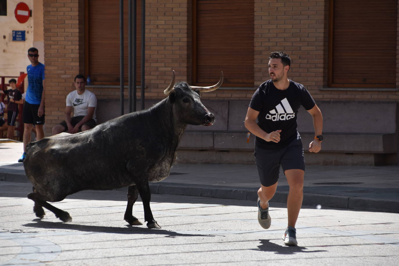 Encierros en las fiestas de Aldeanueva de Ebro