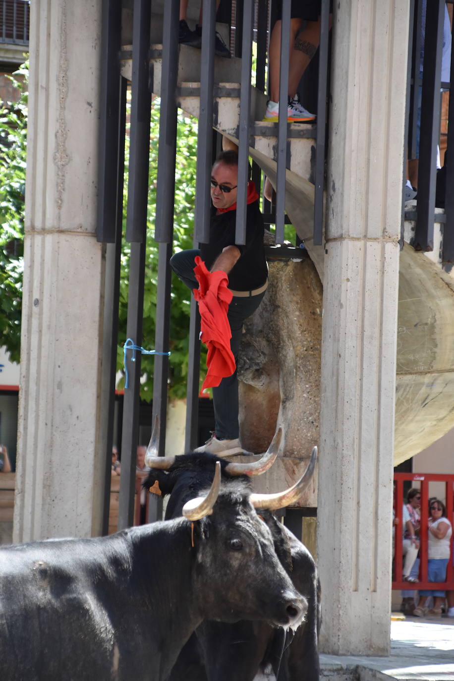 Encierros en las fiestas de Aldeanueva de Ebro