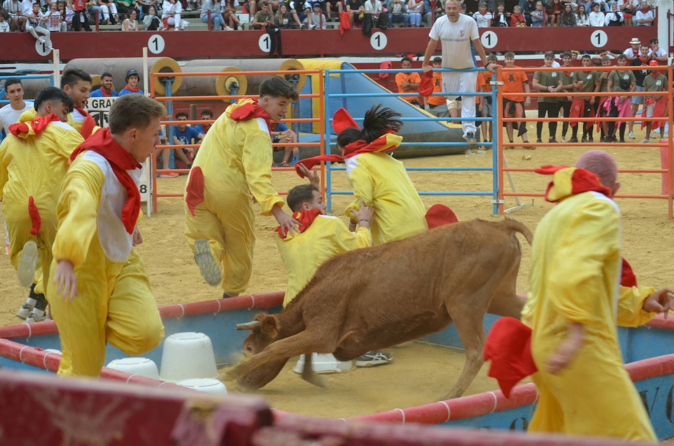 Imágenes del Gran Prix
