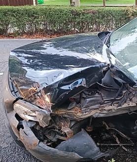 Imagen secundaria 2 - Un coche choca contra un árbol en Santo Domingo
