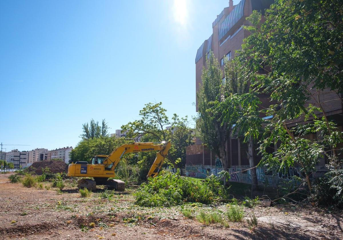 Primer día de obras como tal, con el arranque de arbolado silvestre centrando las tareas.