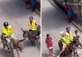 Fotogramas del video que denuncia la formación animalista