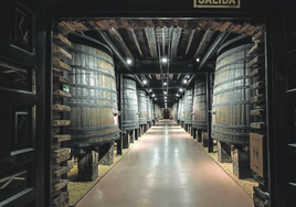 Icónicos tinos centenarios de madera de Bodegas Franco-Españolas.