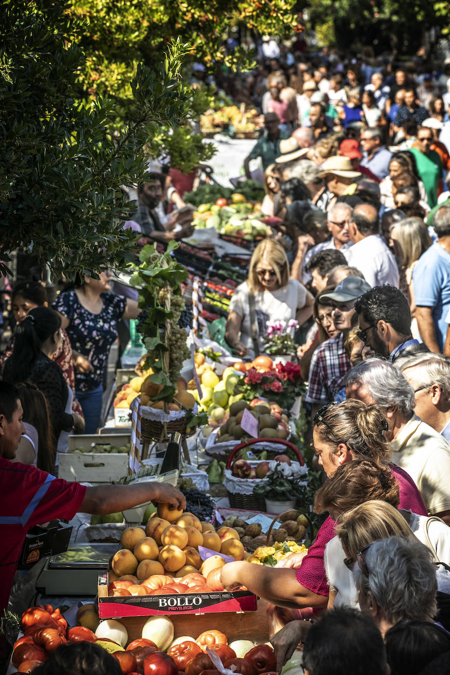 El Espolón acogió el 54 Concurso Agrícola de La Rioja