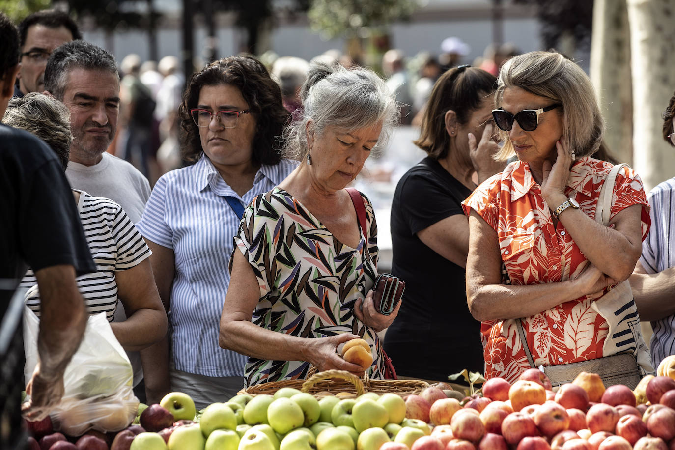 El Espolón acogió el 54 Concurso Agrícola de La Rioja