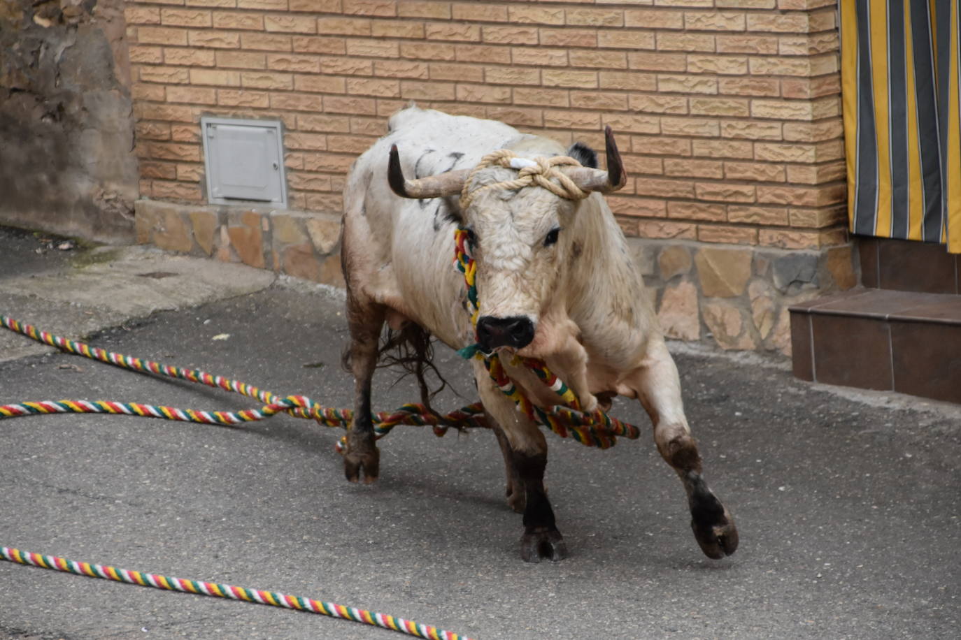 Los toros de Cabretón