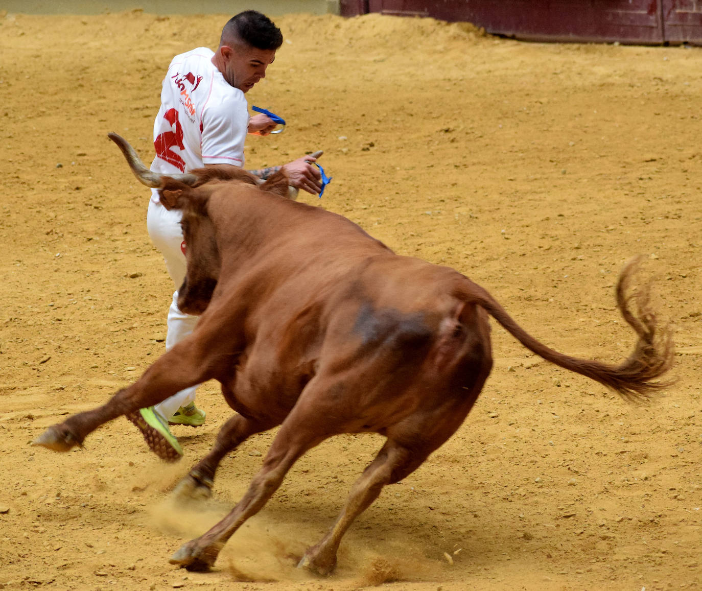 Las vaquillas, fieles a la cita de San Mateo